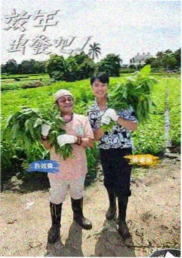 退婚后我在横店当首富 短剧原著 免费阅读